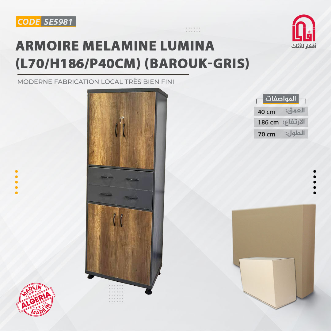 Armoire Melamine LUMINA (L70/H186/P40cm) (Barouk-Gris)